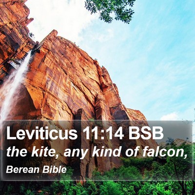Leviticus 11:14 BSB Bible Verse Image