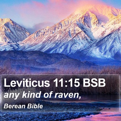 Leviticus 11:15 BSB Bible Verse Image