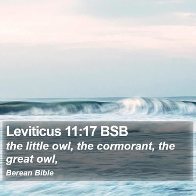 Leviticus 11:17 BSB Bible Verse Image