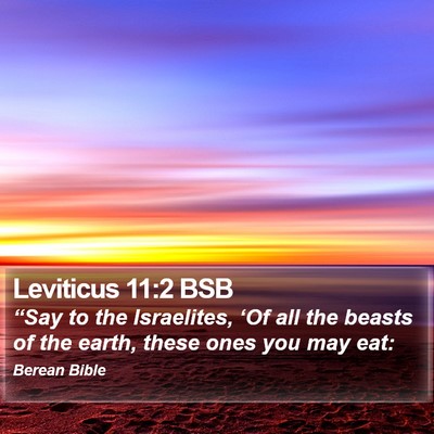 Leviticus 11:2 BSB Bible Verse Image