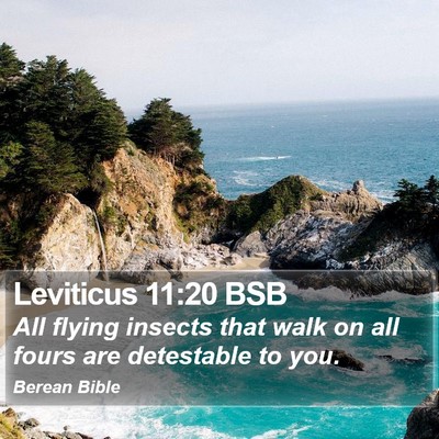 Leviticus 11:20 BSB Bible Verse Image