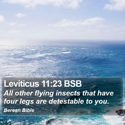 Leviticus 11:23 BSB Bible Verse Image