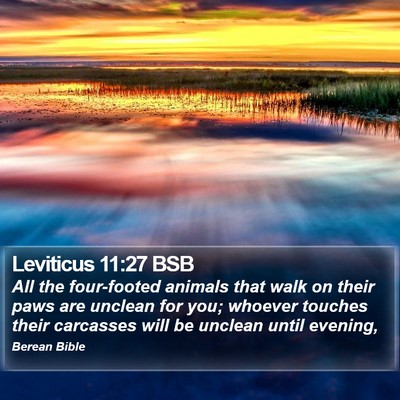 Leviticus 11:27 BSB Bible Verse Image