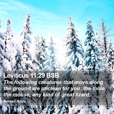 Leviticus 11:29 BSB Bible Verse Image