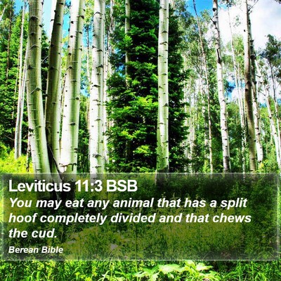 Leviticus 11:3 BSB Bible Verse Image