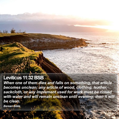 Leviticus 11:32 BSB Bible Verse Image