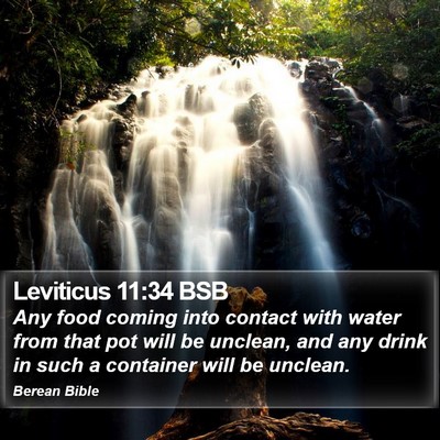 Leviticus 11:34 BSB Bible Verse Image