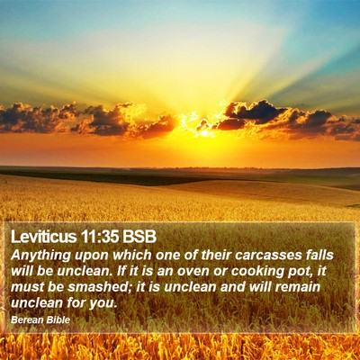 Leviticus 11:35 BSB Bible Verse Image
