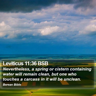 Leviticus 11:36 BSB Bible Verse Image