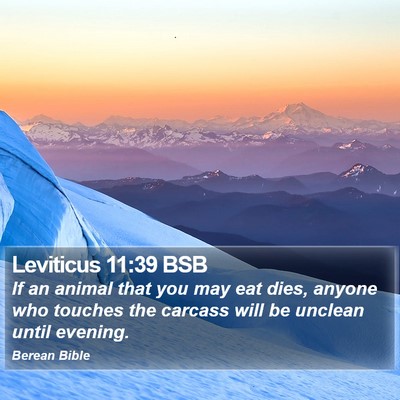 Leviticus 11:39 BSB Bible Verse Image