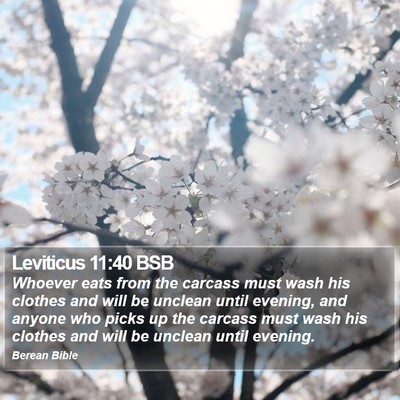 Leviticus 11:40 BSB Bible Verse Image