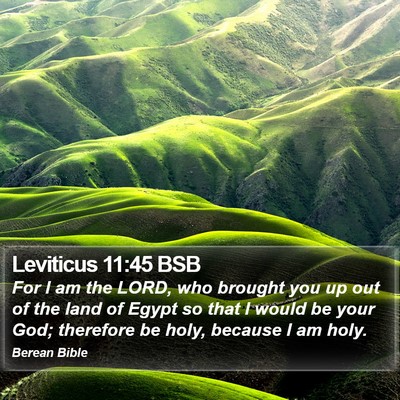 Leviticus 11:45 BSB Bible Verse Image