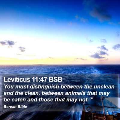 Leviticus 11:47 BSB Bible Verse Image