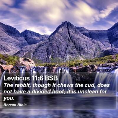 Leviticus 11:6 BSB Bible Verse Image
