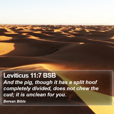 Leviticus 11:7 BSB Bible Verse Image