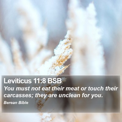 Leviticus 11:8 BSB Bible Verse Image