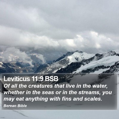 Leviticus 11:9 BSB Bible Verse Image