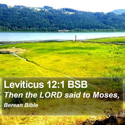 Leviticus 12:1 BSB Bible Verse Image