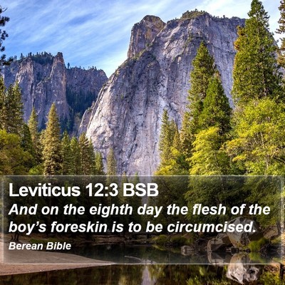 Leviticus 12:3 BSB Bible Verse Image