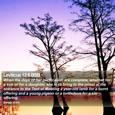 Leviticus 12:6 BSB Bible Verse Image
