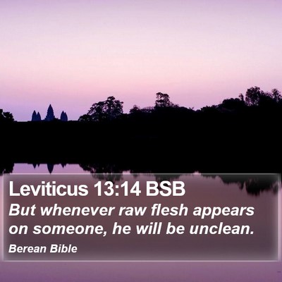 Leviticus 13:14 BSB Bible Verse Image