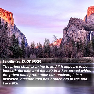 Leviticus 13:20 BSB Bible Verse Image