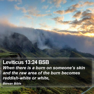 Leviticus 13:24 BSB Bible Verse Image