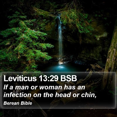 Leviticus 13:29 BSB Bible Verse Image