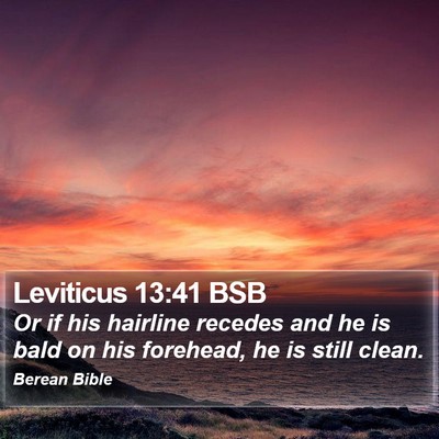 Leviticus 13:41 BSB Bible Verse Image