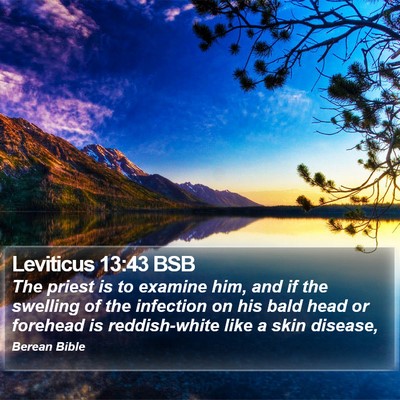Leviticus 13:43 BSB Bible Verse Image