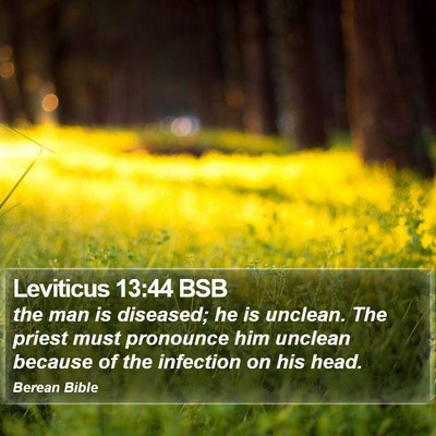 Leviticus 13:44 BSB Bible Verse Image