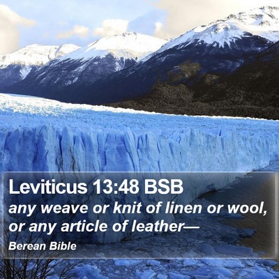 Leviticus 13:48 BSB Bible Verse Image