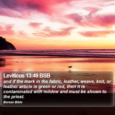 Leviticus 13:49 BSB Bible Verse Image
