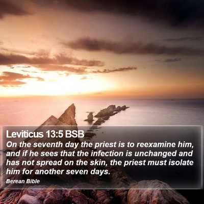 Leviticus 13:5 BSB Bible Verse Image