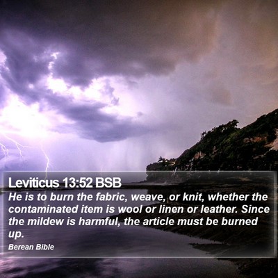 Leviticus 13:52 BSB Bible Verse Image