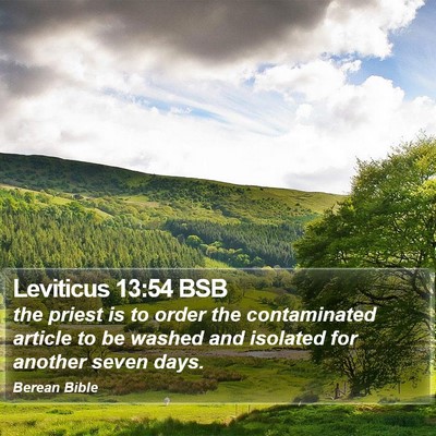 Leviticus 13:54 BSB Bible Verse Image