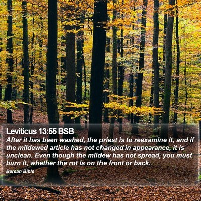 Leviticus 13:55 BSB Bible Verse Image