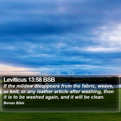 Leviticus 13:58 BSB Bible Verse Image