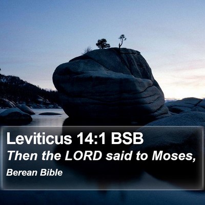 Leviticus 14:1 BSB Bible Verse Image