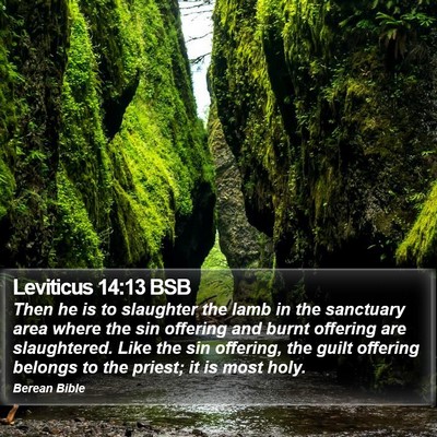 Leviticus 14:13 BSB Bible Verse Image