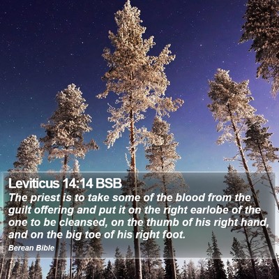 Leviticus 14:14 BSB Bible Verse Image
