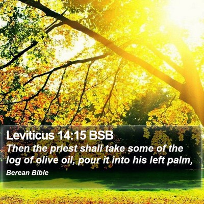 Leviticus 14:15 BSB Bible Verse Image