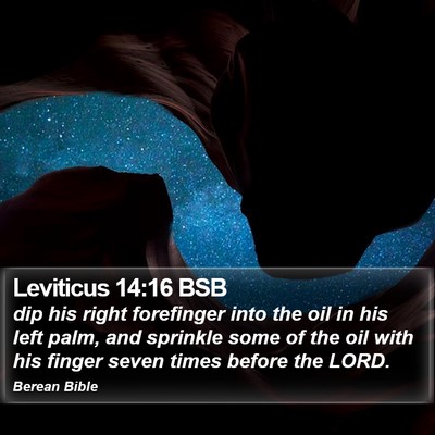Leviticus 14:16 BSB Bible Verse Image