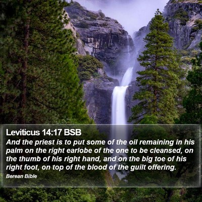 Leviticus 14:17 BSB Bible Verse Image