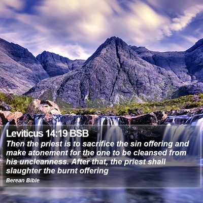 Leviticus 14:19 BSB Bible Verse Image