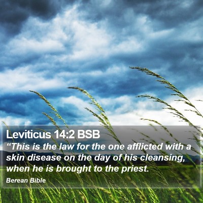 Leviticus 14:2 BSB Bible Verse Image