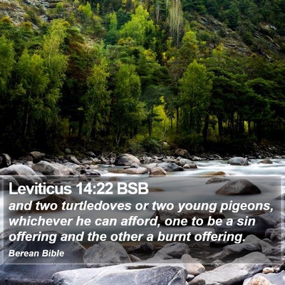 Leviticus 14:22 BSB Bible Verse Image