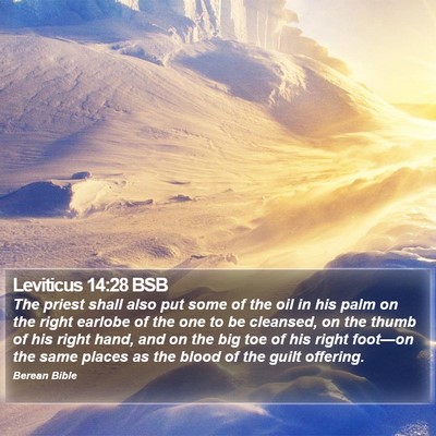 Leviticus 14:28 BSB Bible Verse Image