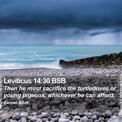 Leviticus 14:30 BSB Bible Verse Image