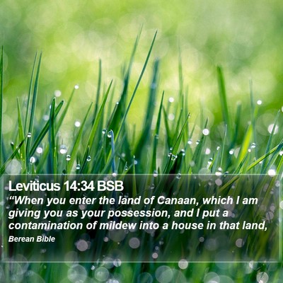 Leviticus 14:34 BSB Bible Verse Image